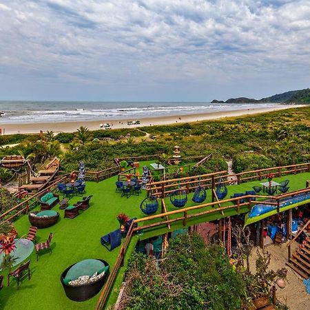 Grajagan Surf Resort メーウ島 エクステリア 写真